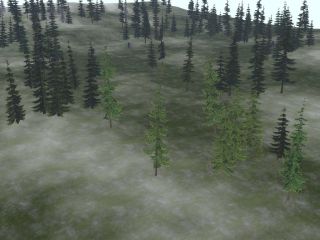 Rosefield, The Green · North-East at grid noon