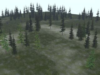 Rosefield, The Green at grid noon