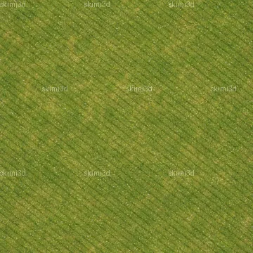 Meadow