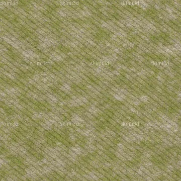 Stone Grass
