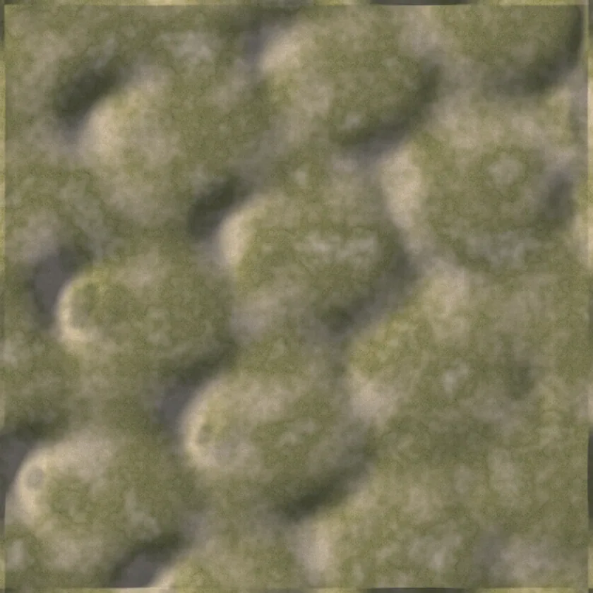 Rush Vale from above