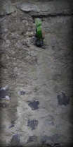 TRU - by SKIMI - City Walls - wall 4