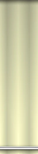 SKIMI - columns