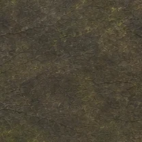 Tropical dark rock