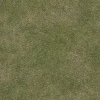 Earth meadow