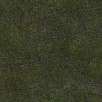 Canada meadow