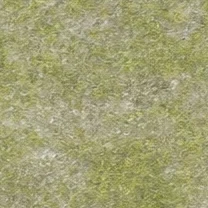 Meadowland stone