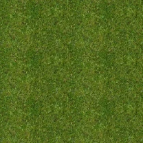 TRU - by SKIMI - City Walls - grass ground