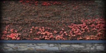 SKIMI - Tudor, wall outside