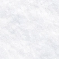 Meadowland snow