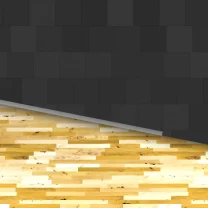 SKIMI - Specta 1 - floor wood and black tiles crossing 3