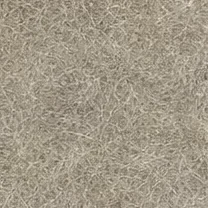 Earth grass dry
