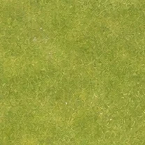 Meadowland pasture