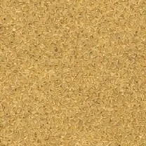 Desert interdune