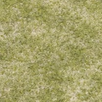 Tropical sea grass