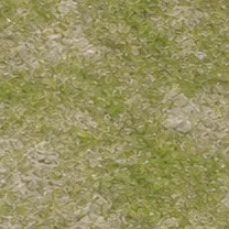 Meadowland stone grass