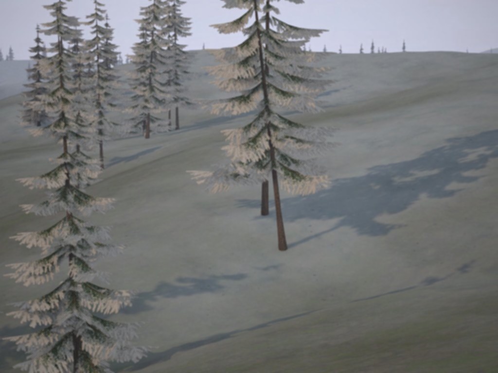 Snow-frosted pines cast long shadows across a quiet hillside slope.