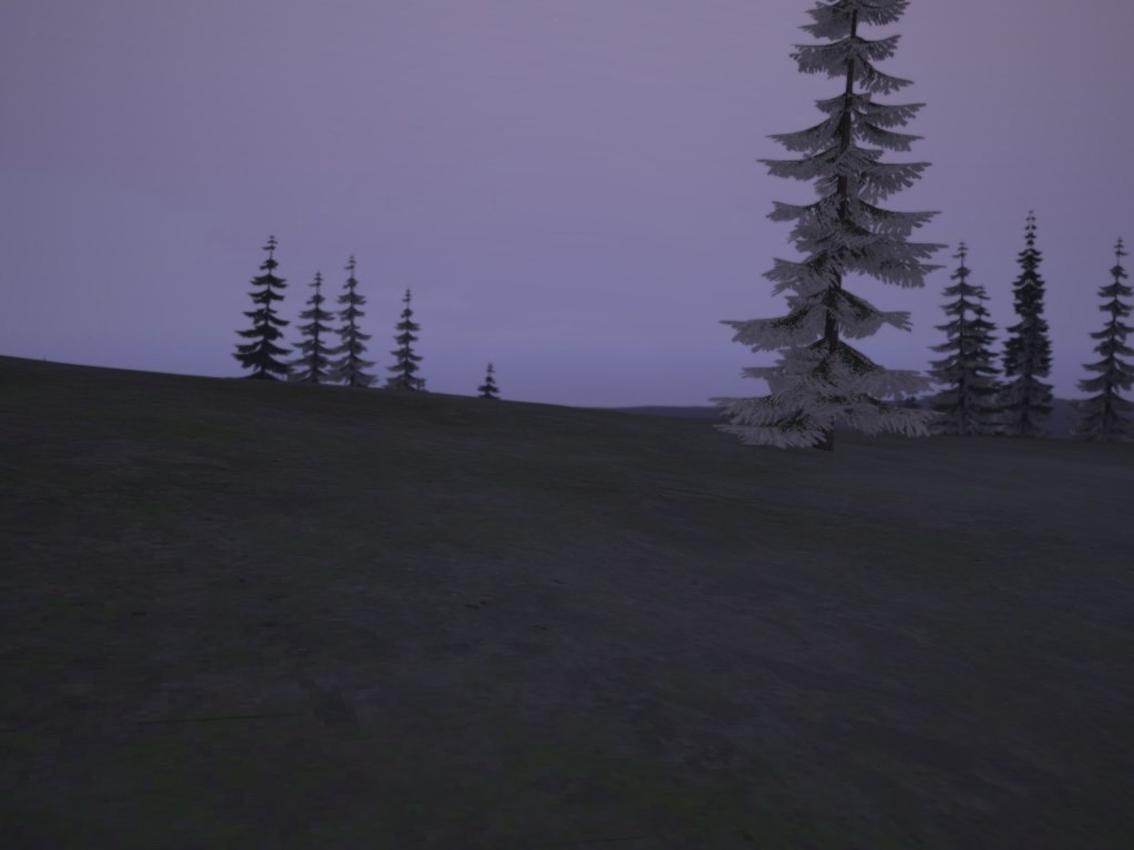 A picture from Clyde's album