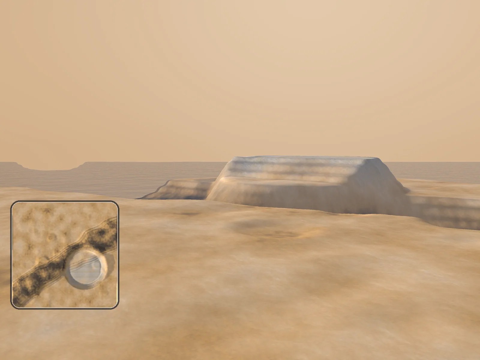 Thorn Meadow