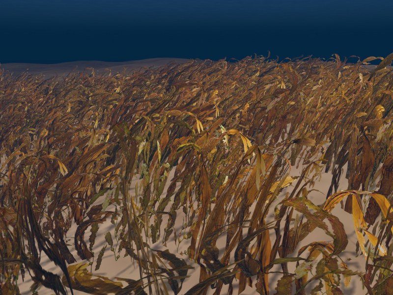 Water weed