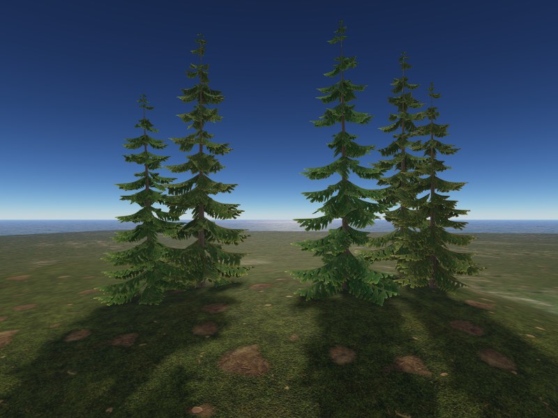 Pine 2